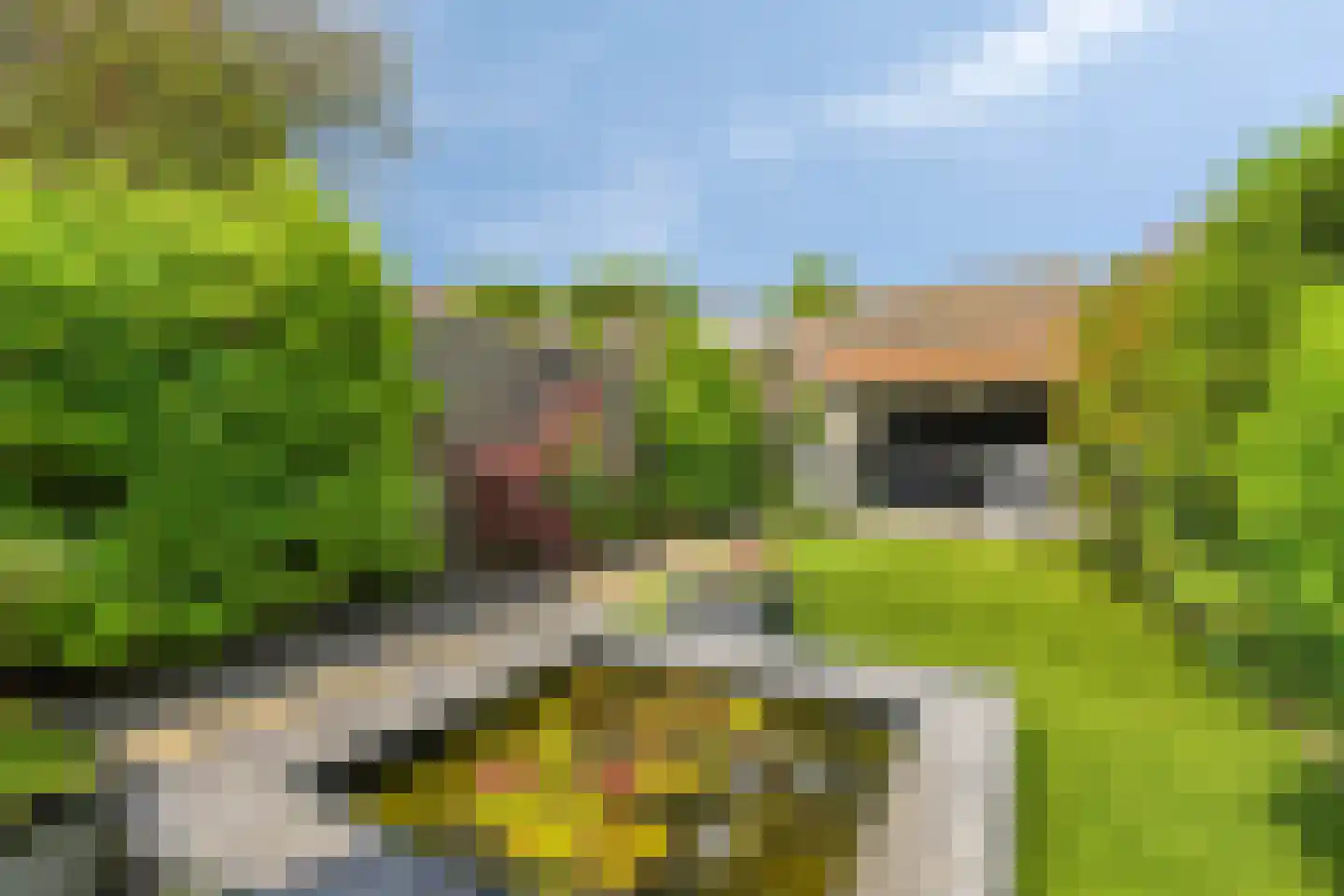 Abcovenseweg 30 Goirle thumbnail 30