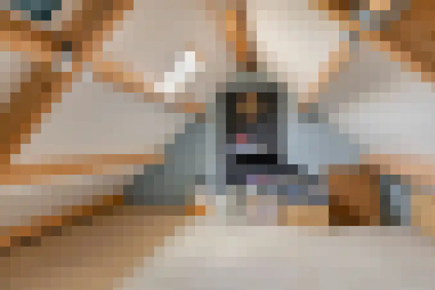 Abcovenseweg 30 Goirle thumbnail 35