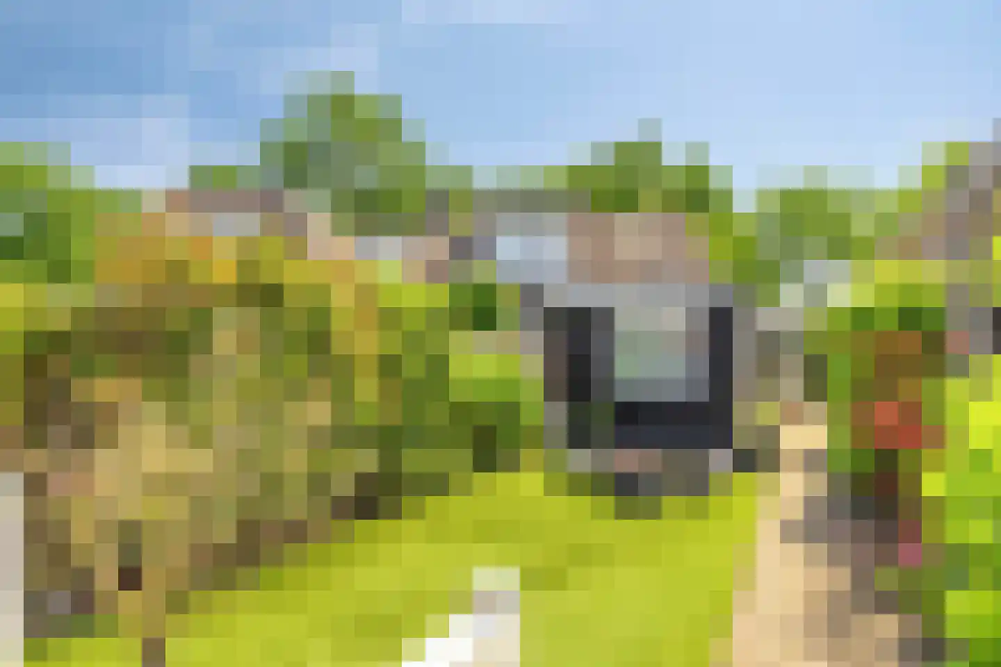 Abcovenseweg 30 Goirle thumbnail 36