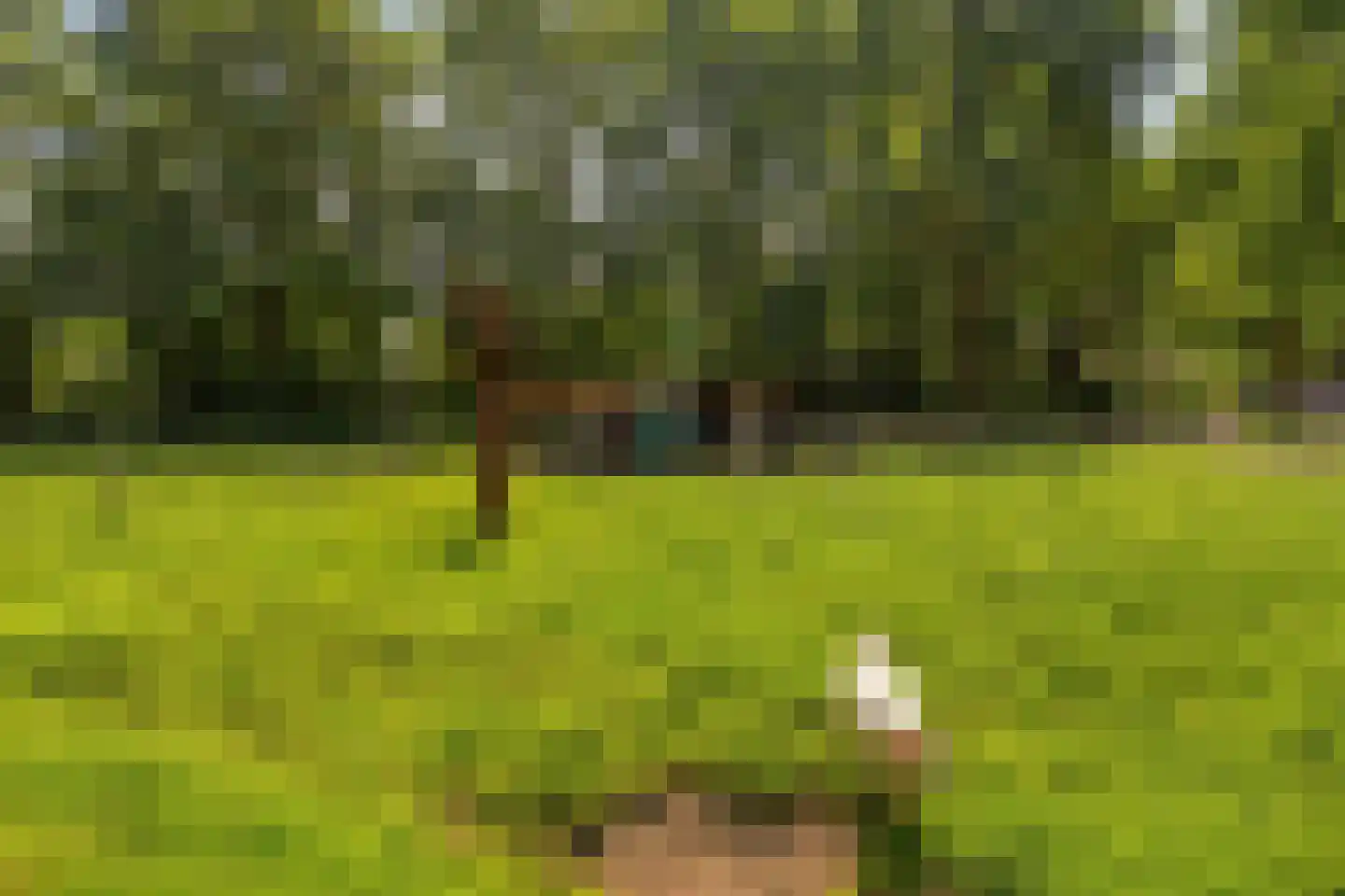 Abcovenseweg 30 Goirle thumbnail 42