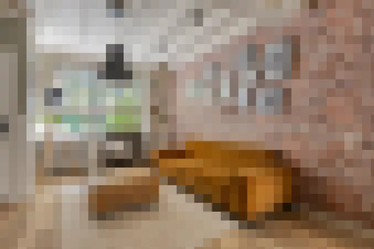 Abcovenseweg 30 Goirle thumbnail 6