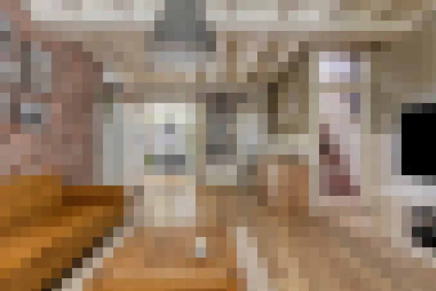 Abcovenseweg 30 Goirle thumbnail 7