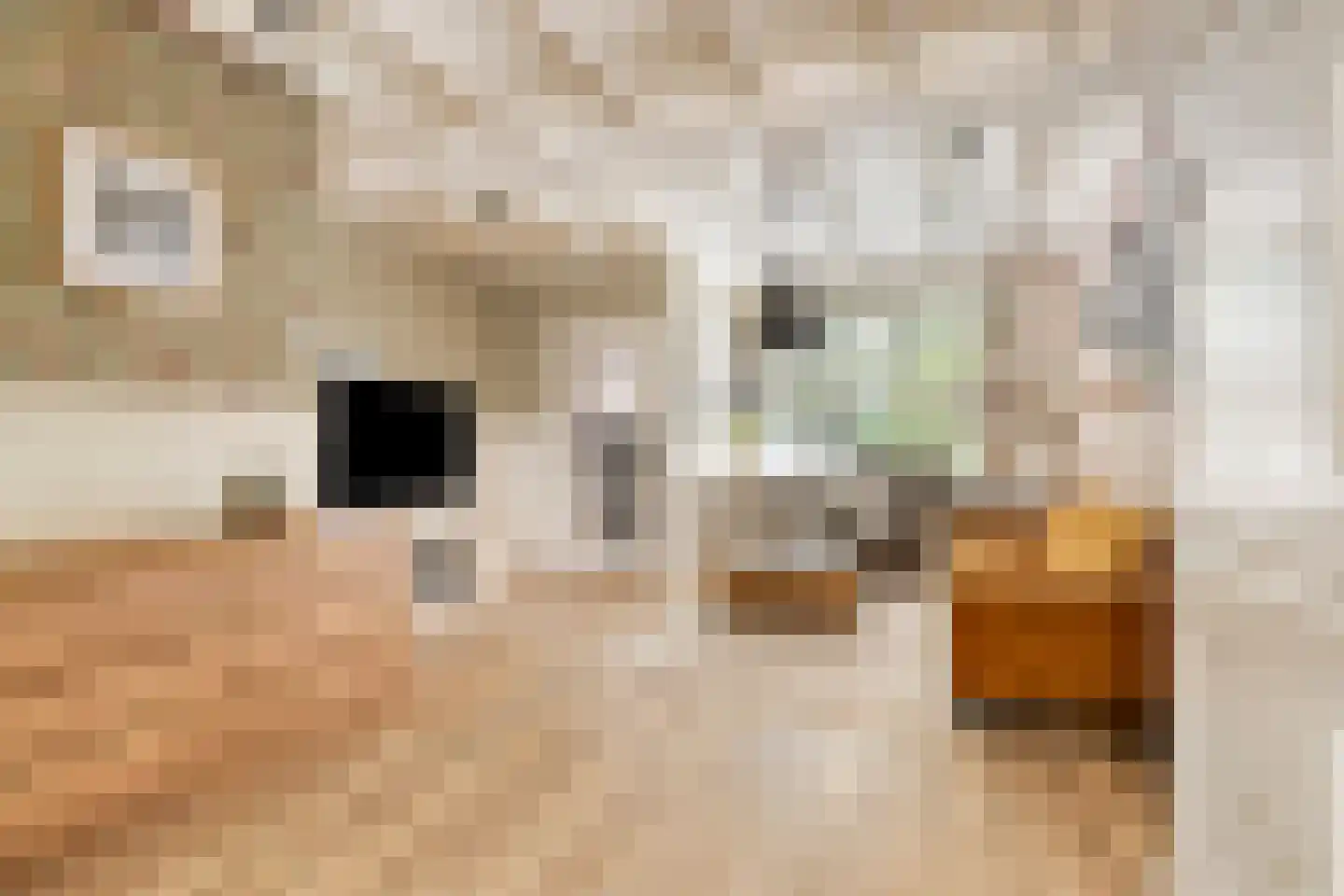 Abcovenseweg 30 Goirle thumbnail 9