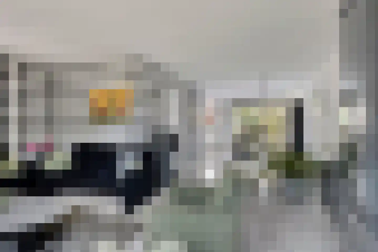 Abdij 18 Zwijndrecht thumbnail 8