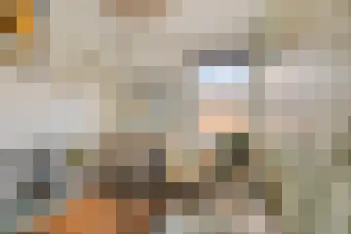 Abdij 2 Blokker thumbnail 23