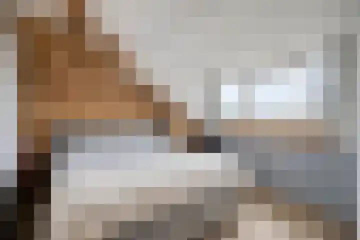 Abdij 2 Blokker thumbnail 26