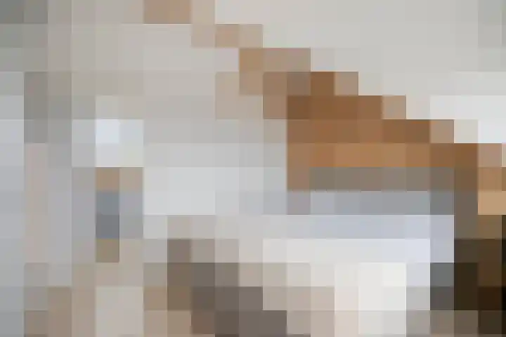 Abdij 2 Blokker thumbnail 27