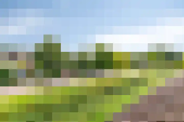 Abdij 2 Blokker thumbnail 35