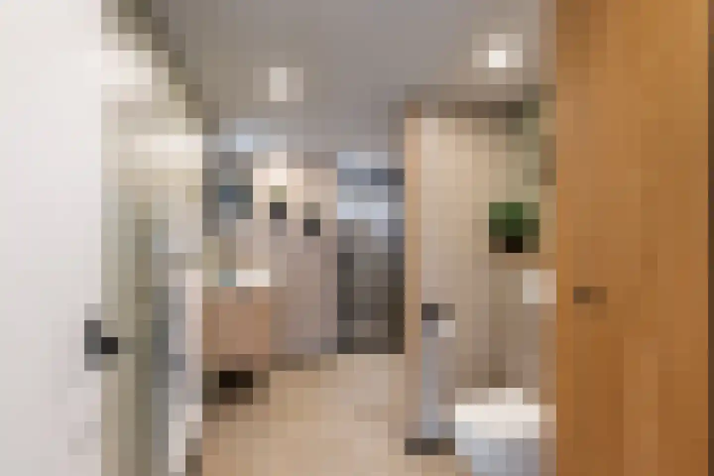 Abdij 2 Blokker thumbnail 38