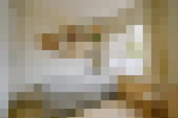 Abdij 2 Blokker thumbnail 39