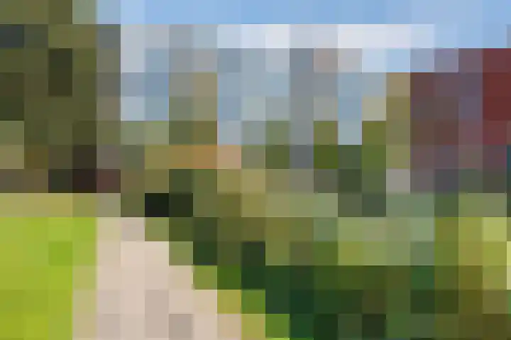 Abdij 2 Blokker thumbnail 5