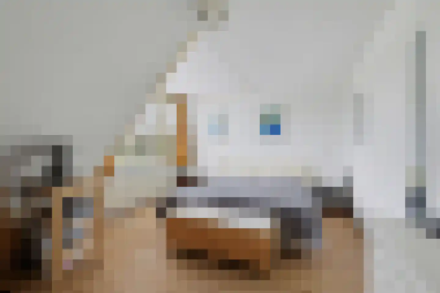 Abdij 20 Zwijndrecht thumbnail 20