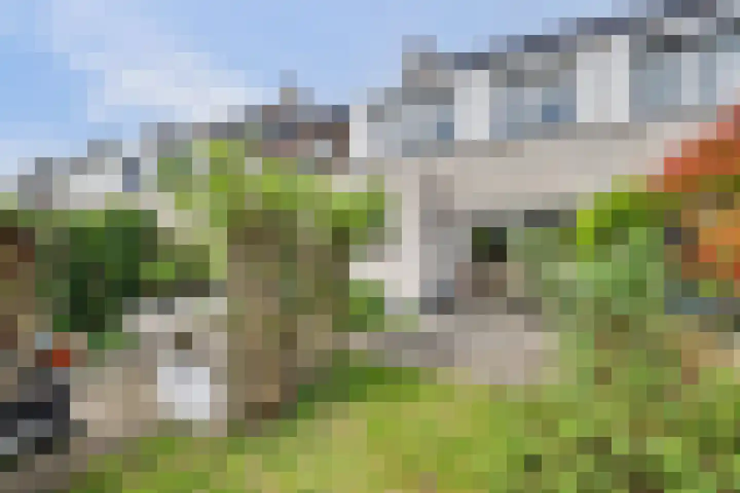 Abdij 20 Zwijndrecht thumbnail 35