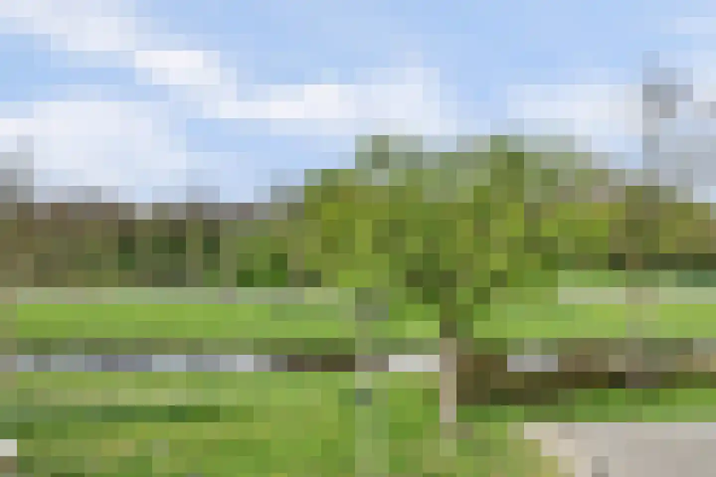 Abdij 20 Zwijndrecht thumbnail 44