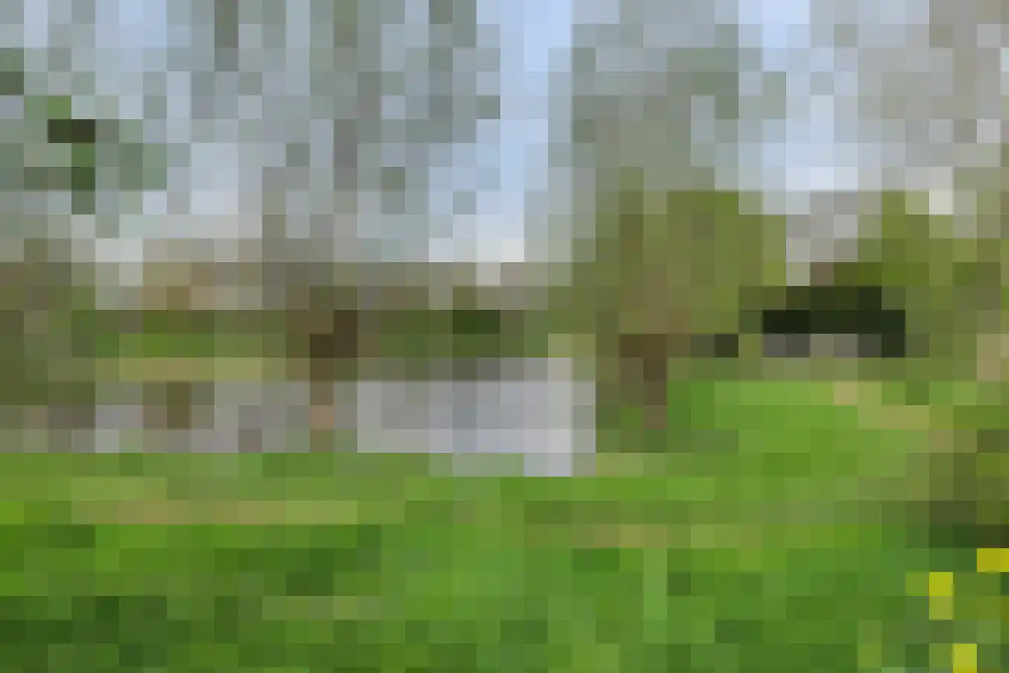 Abdij 20 Zwijndrecht thumbnail 47