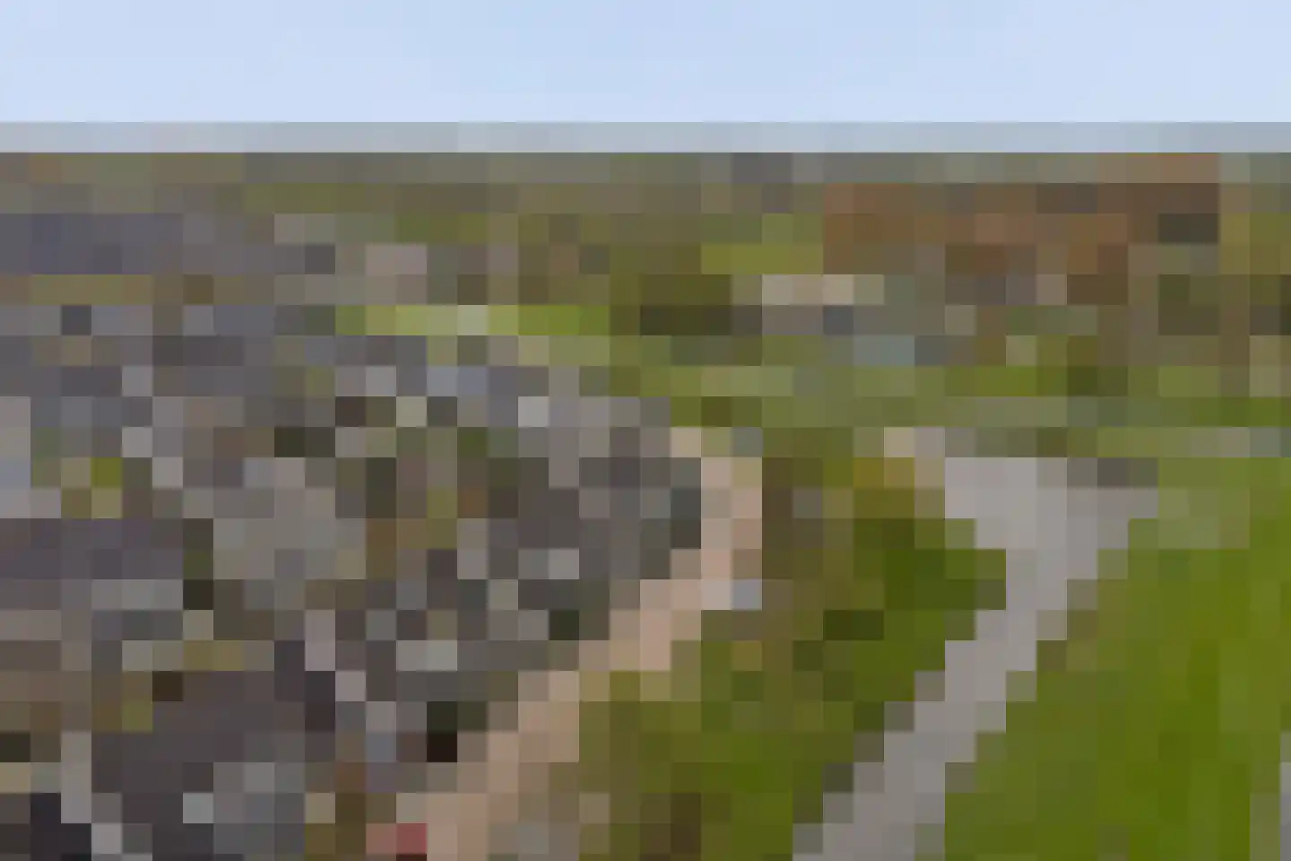 Abdij 20 Zwijndrecht thumbnail 52
