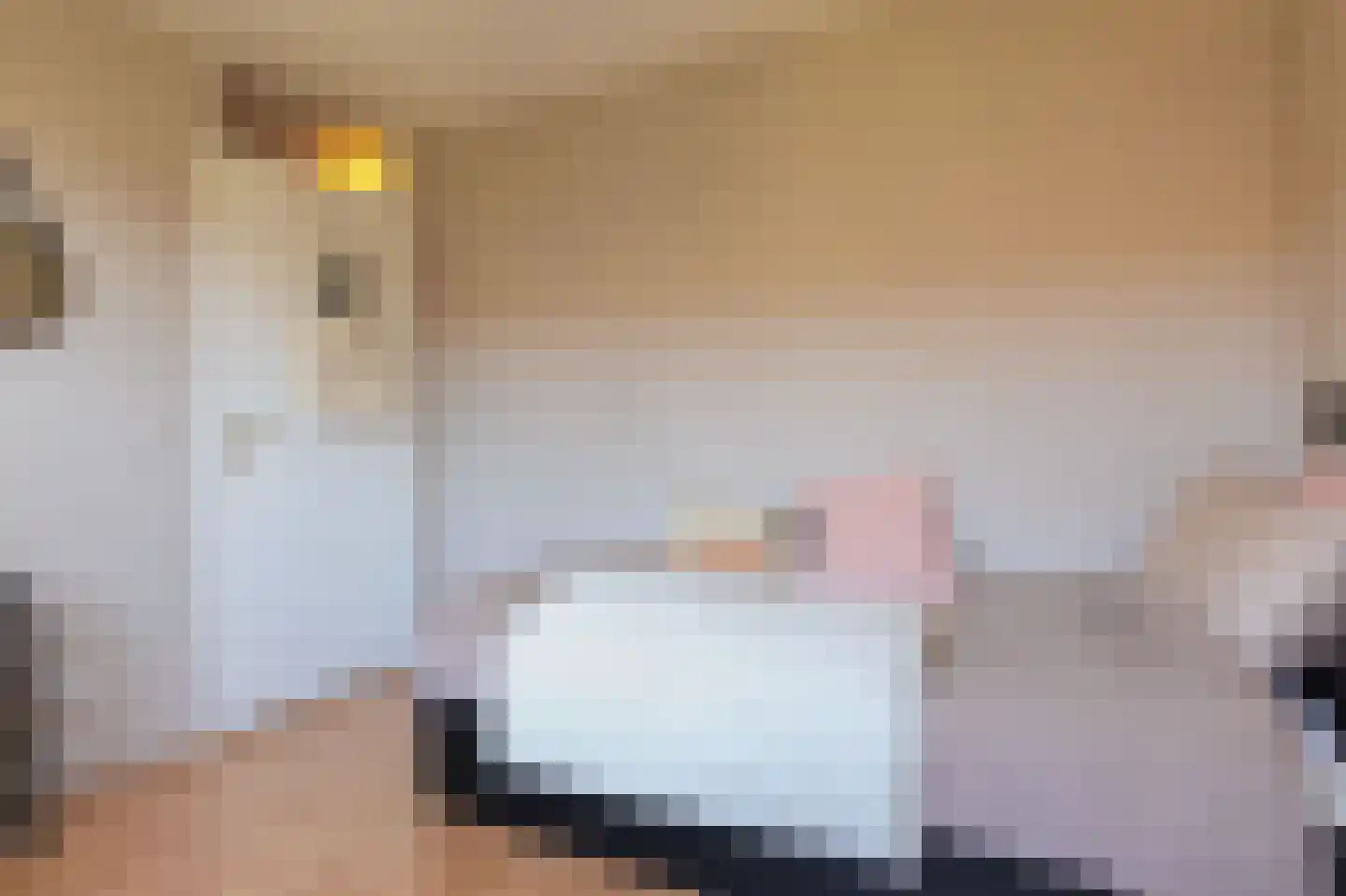 Abdij 22 Blokker thumbnail 23