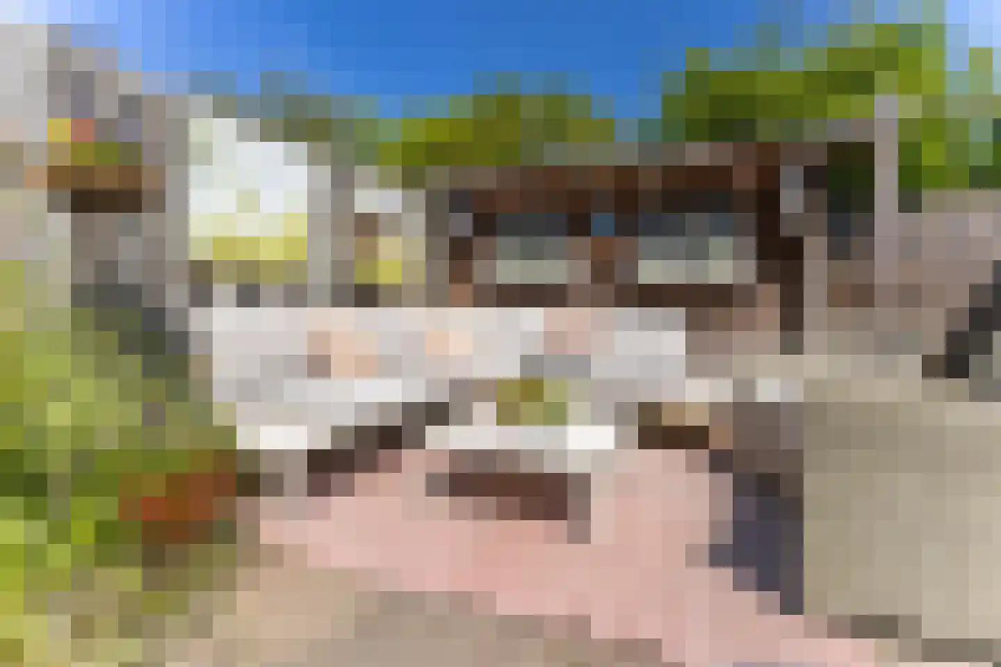 Abdij 22 Blokker thumbnail 42