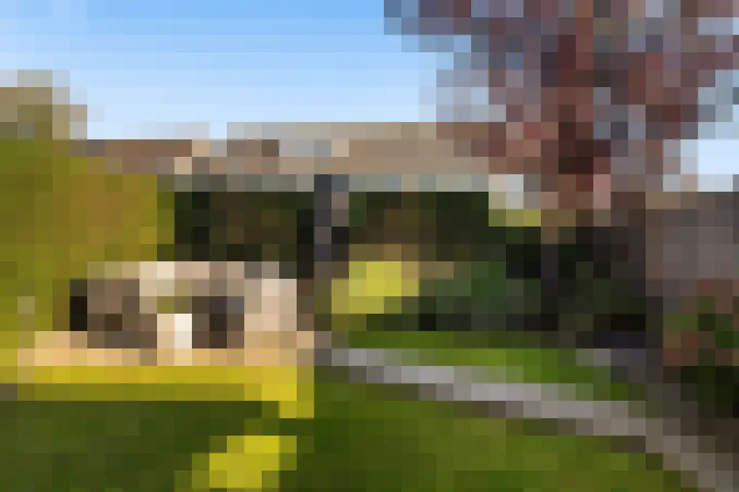 Abdij 40 Zwijndrecht thumbnail 21