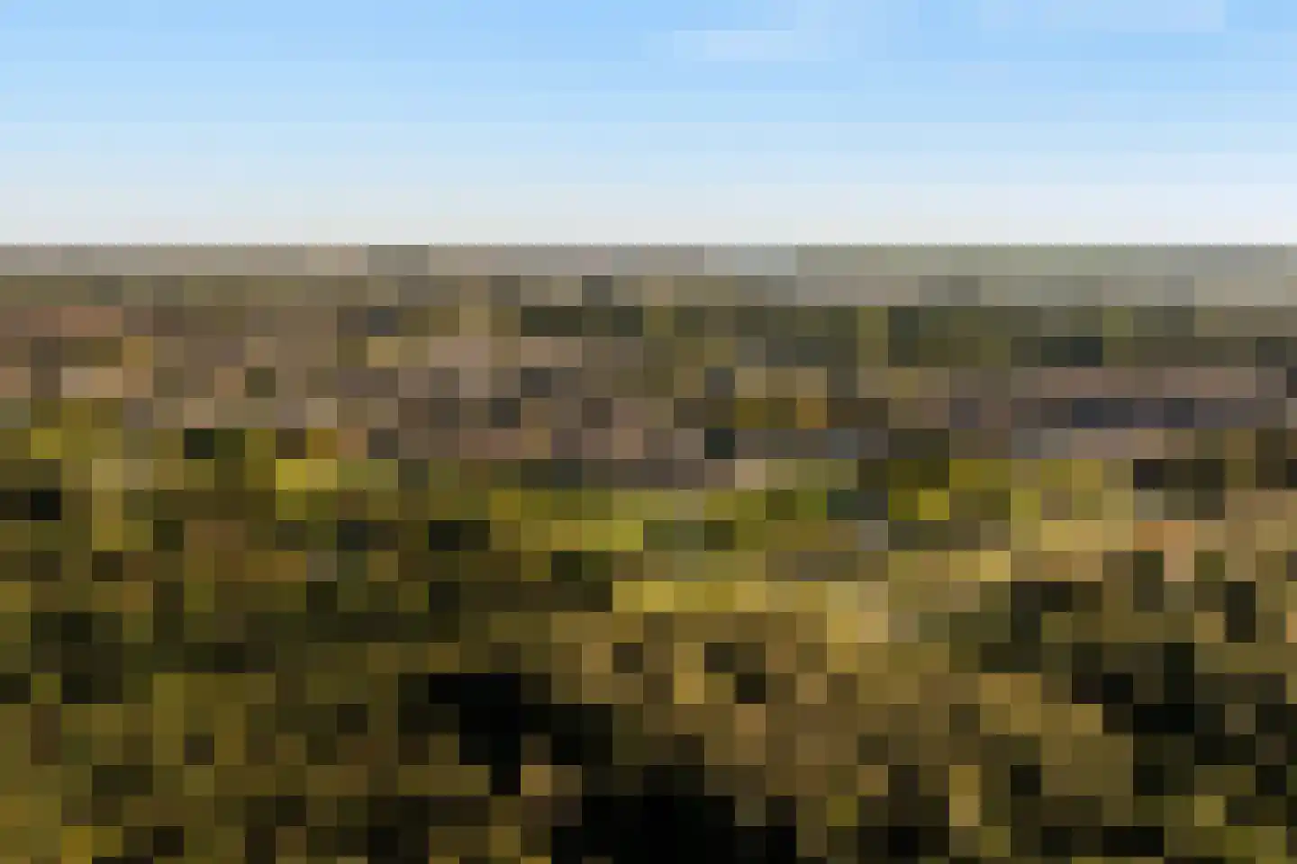 Abdij 40 Zwijndrecht thumbnail 58