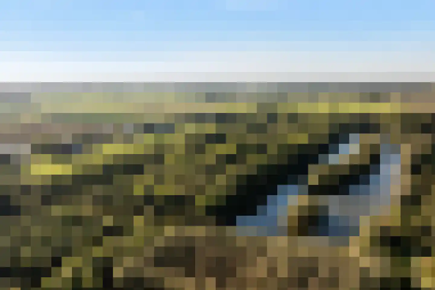 Abdij 40 Zwijndrecht thumbnail 59