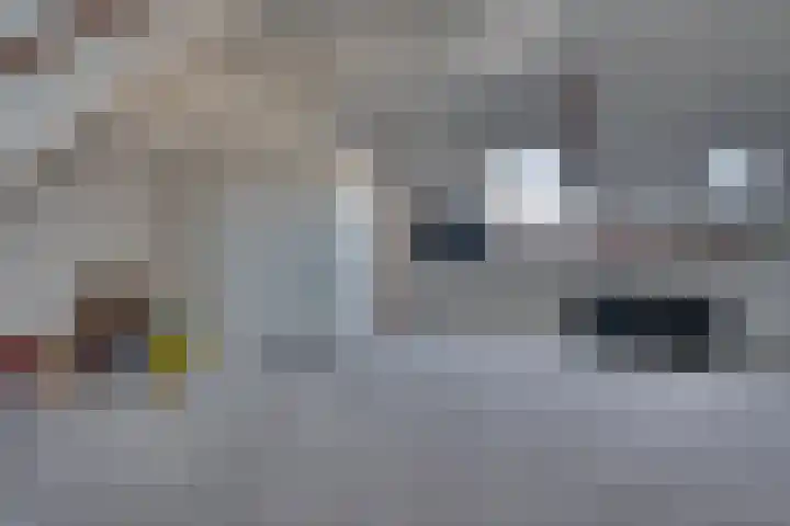 Abdij 50 Zwijndrecht thumbnail 36