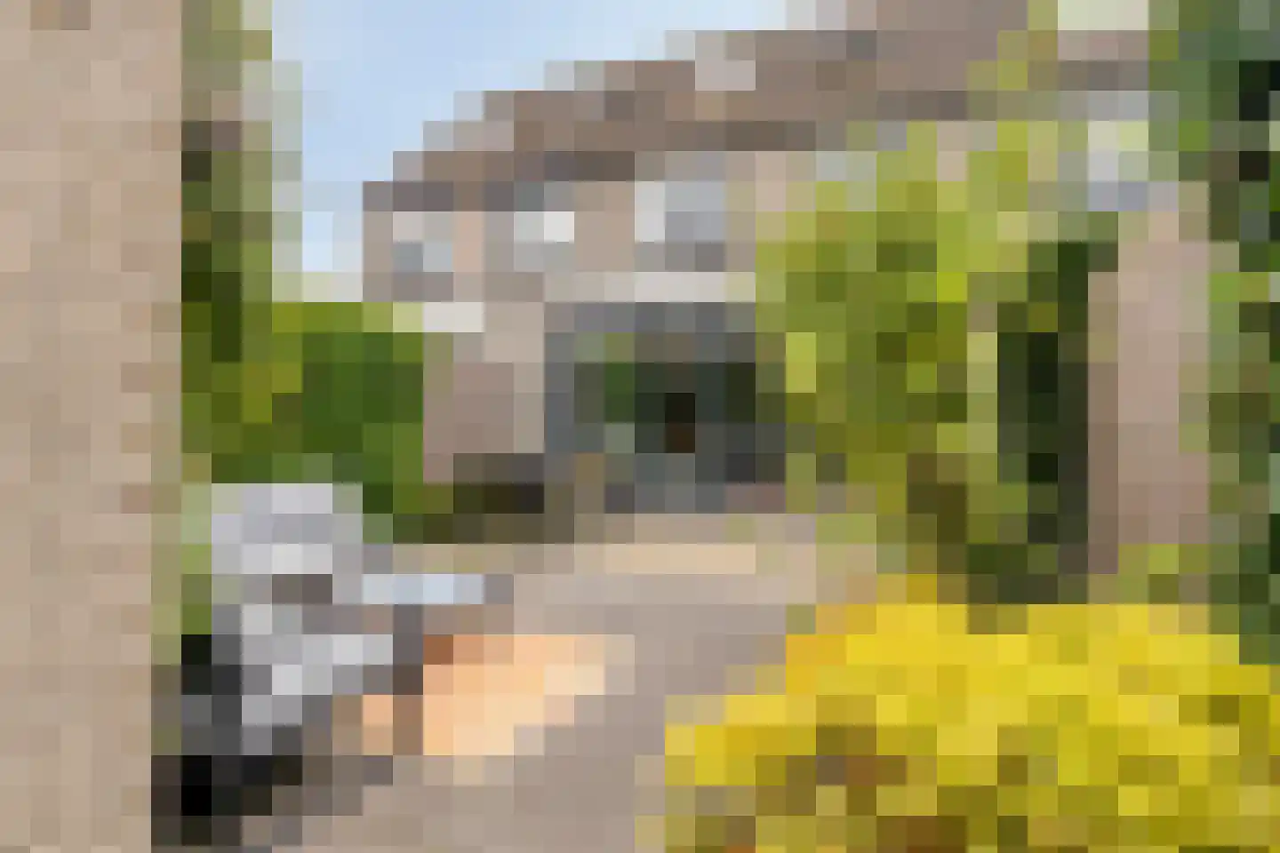 Abdij 54 Zwijndrecht thumbnail 33