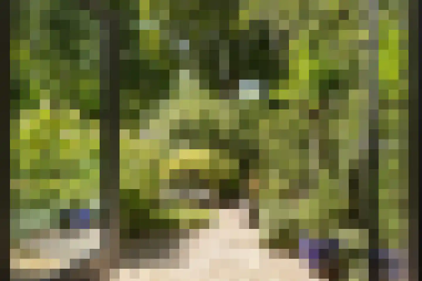 Abdij 61 Zwijndrecht thumbnail 12