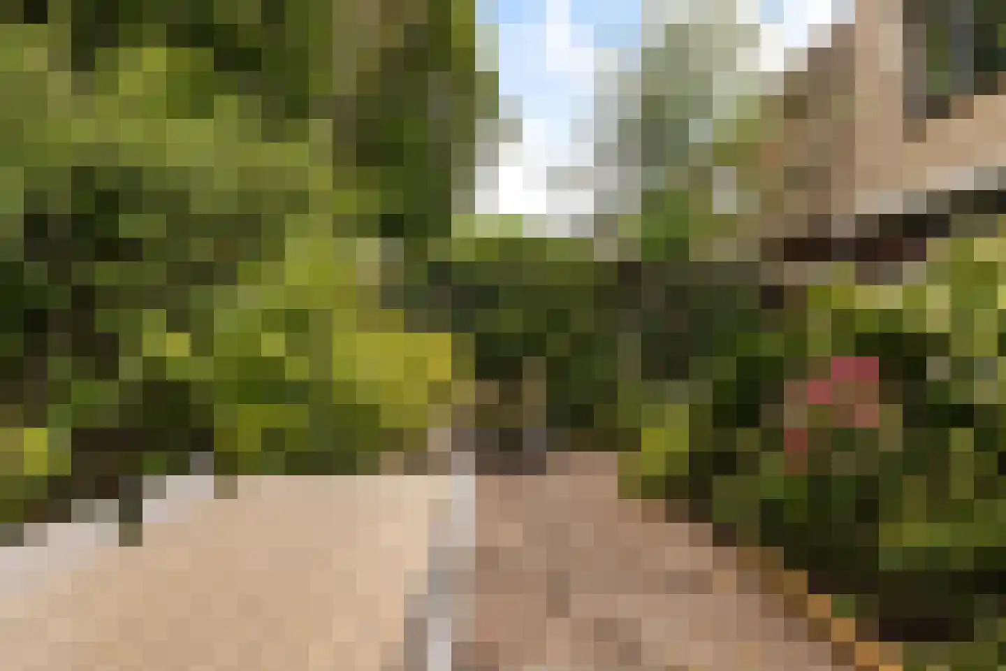 Abdij 61 Zwijndrecht thumbnail 14