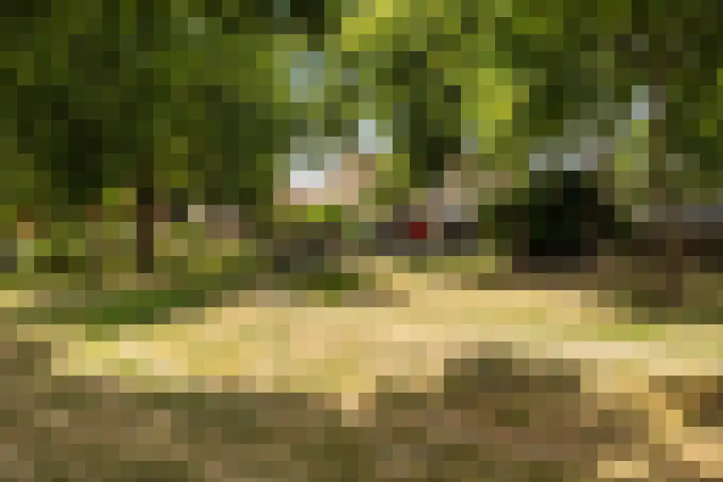 Abdij 61 Zwijndrecht thumbnail 41