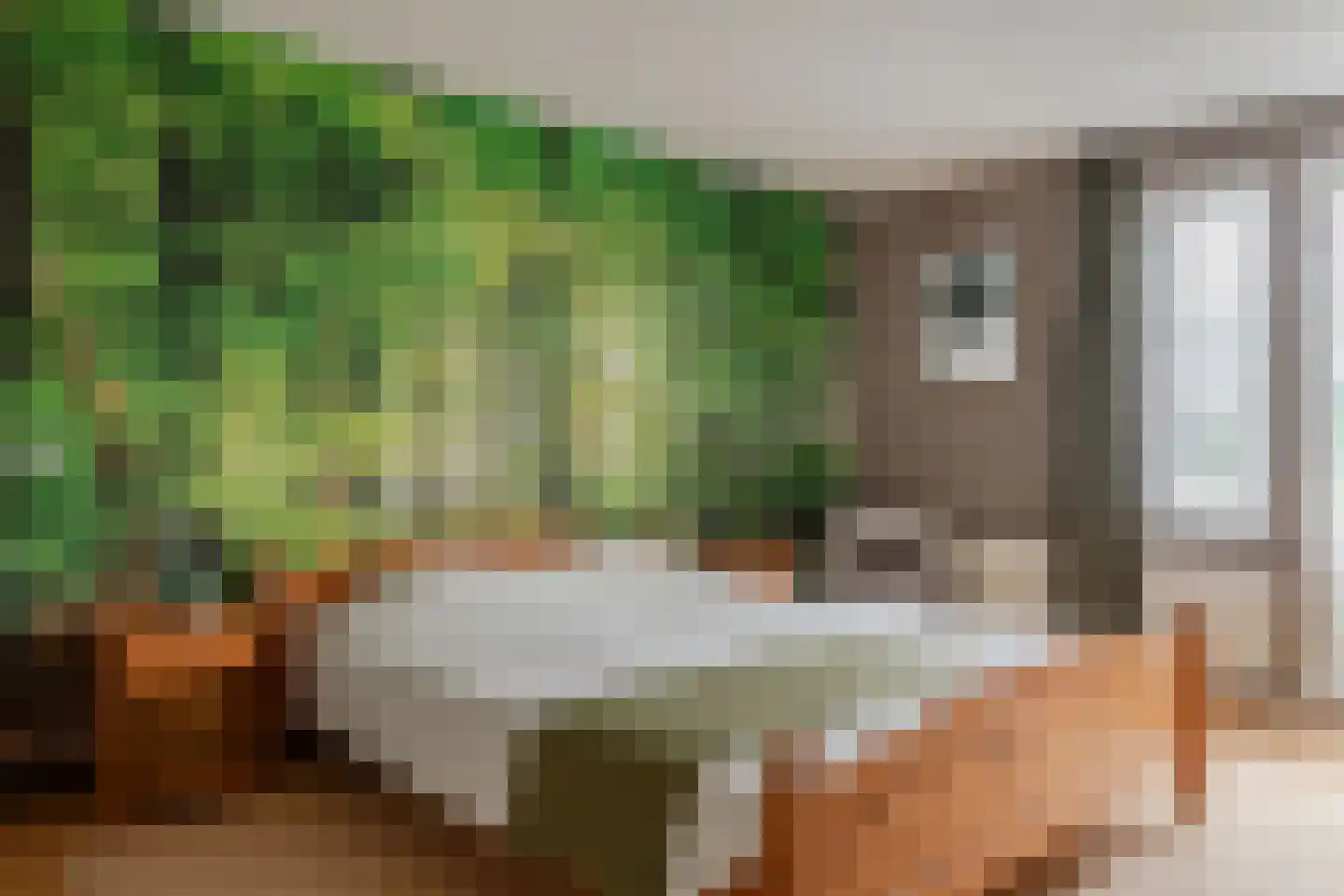 Abdij 7 Blokker thumbnail 22