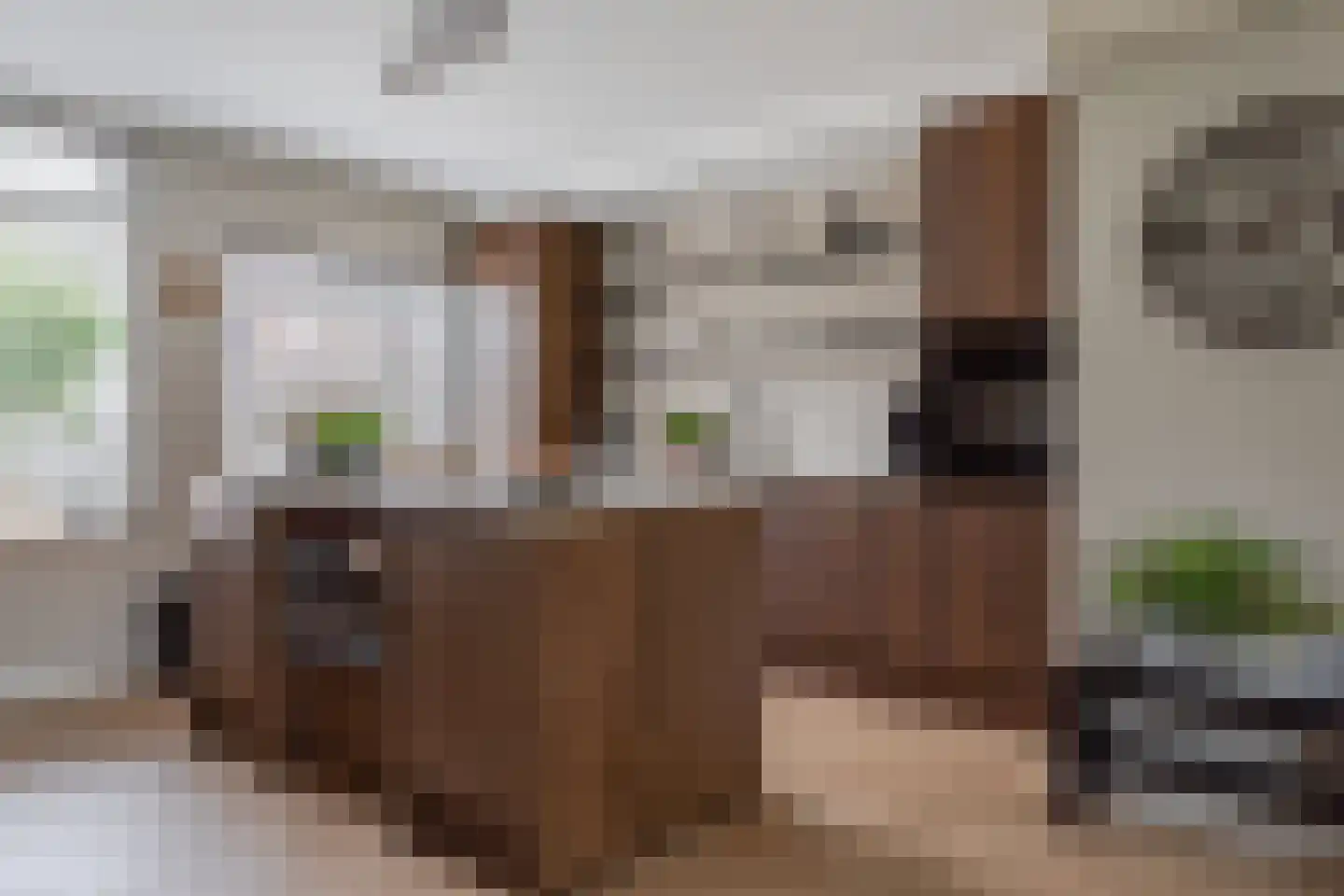 Abdij 7 Blokker foto 3