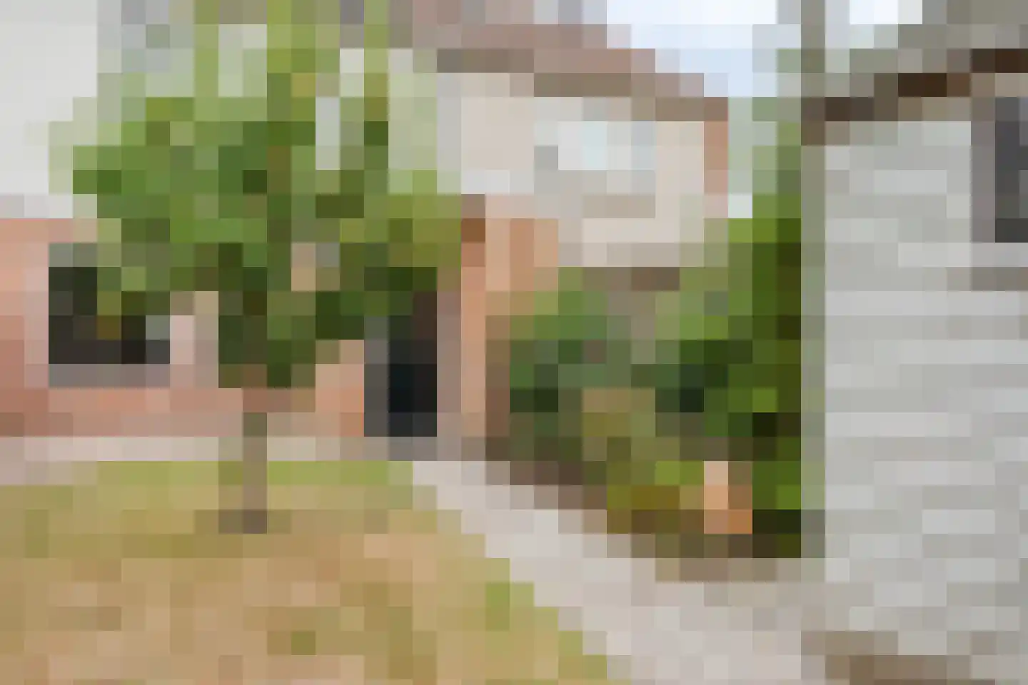 Abdij 7 Blokker thumbnail 35