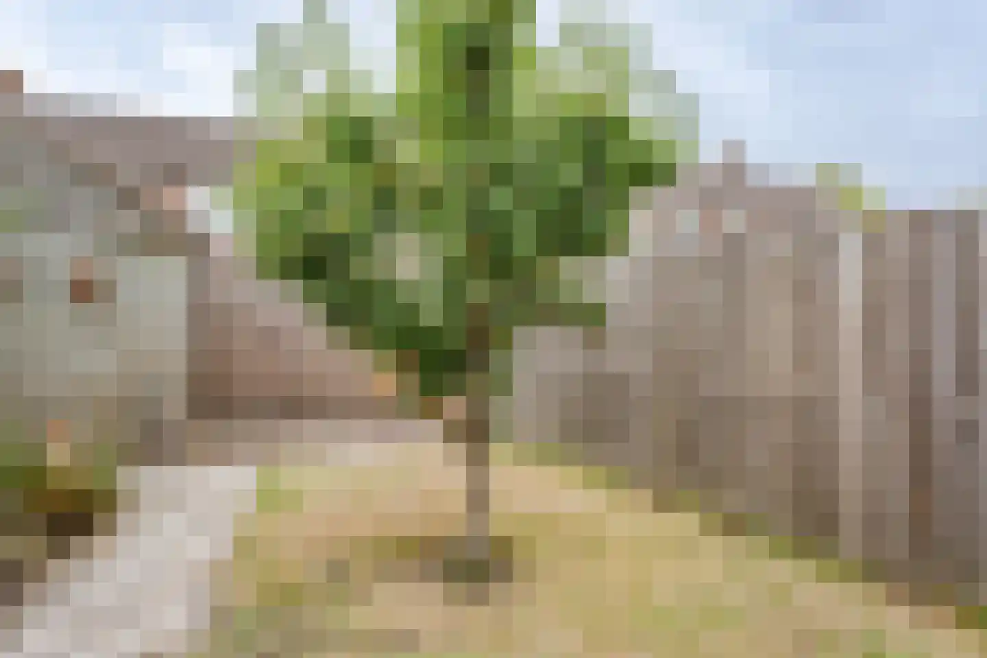 Abdij 7 Blokker thumbnail 37