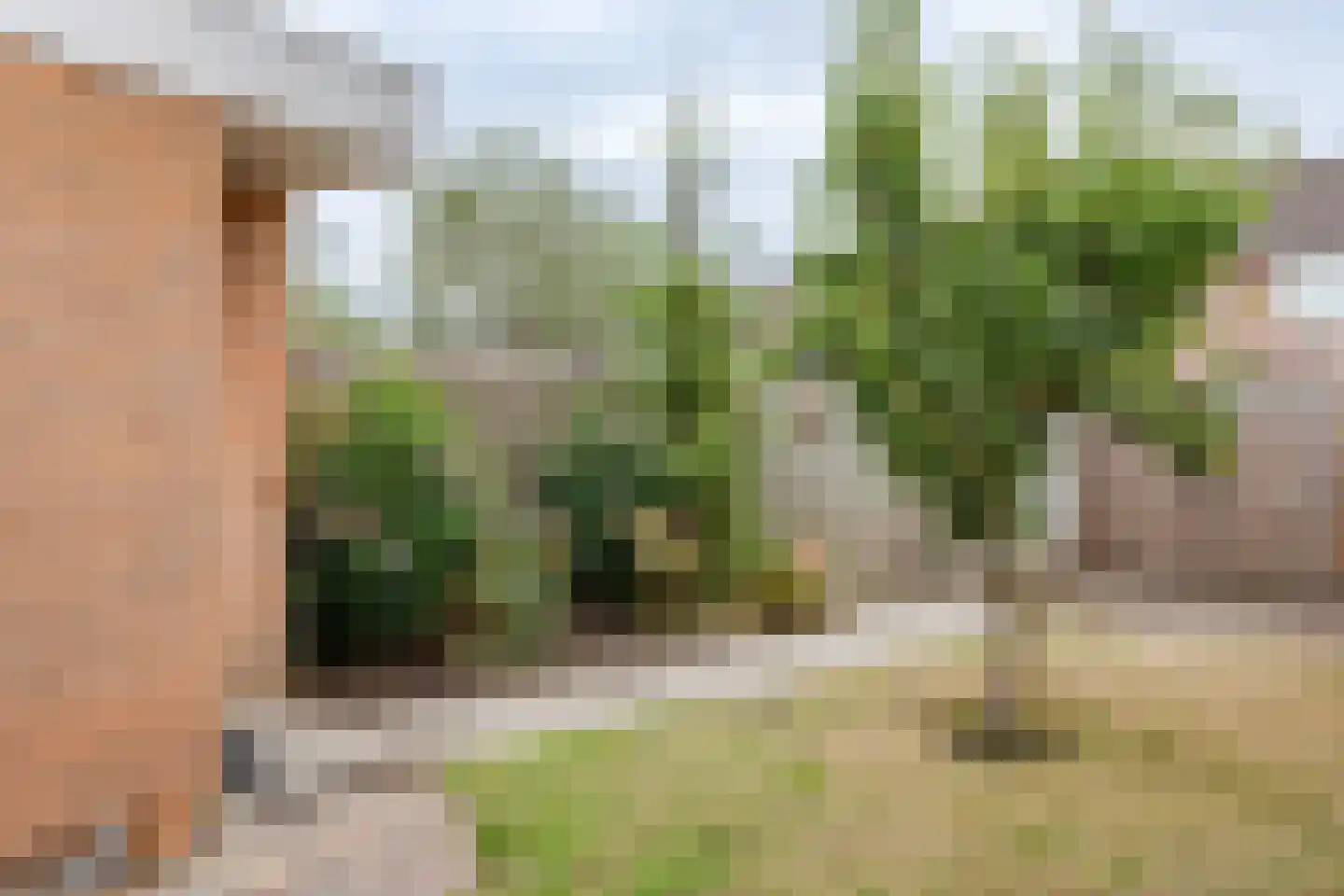 Abdij 7 Blokker thumbnail 38