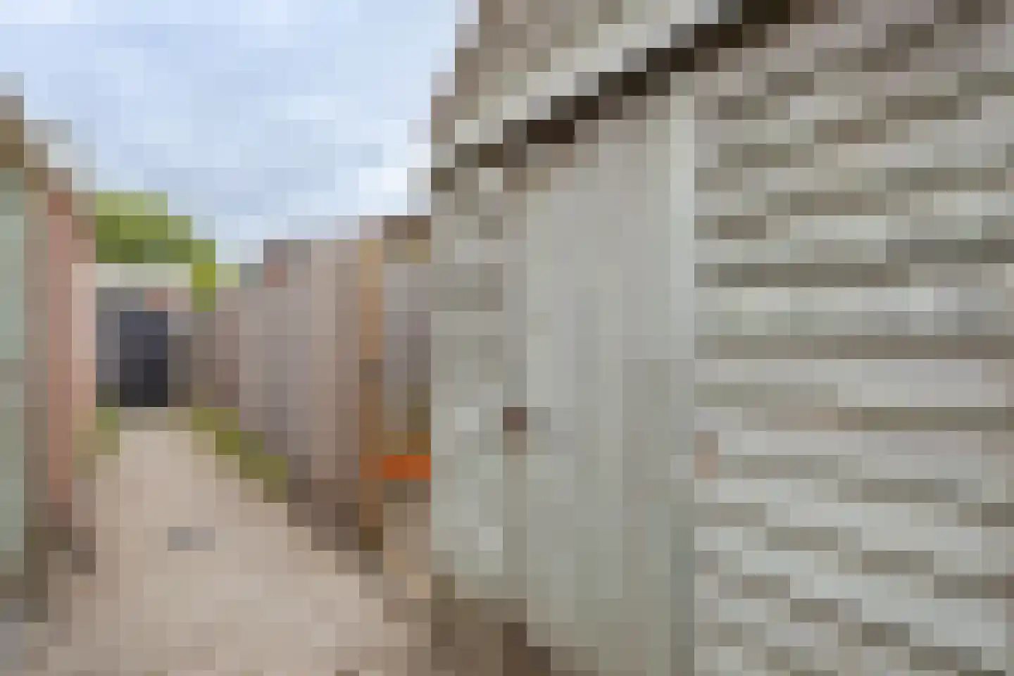 Abdij 7 Blokker thumbnail 39