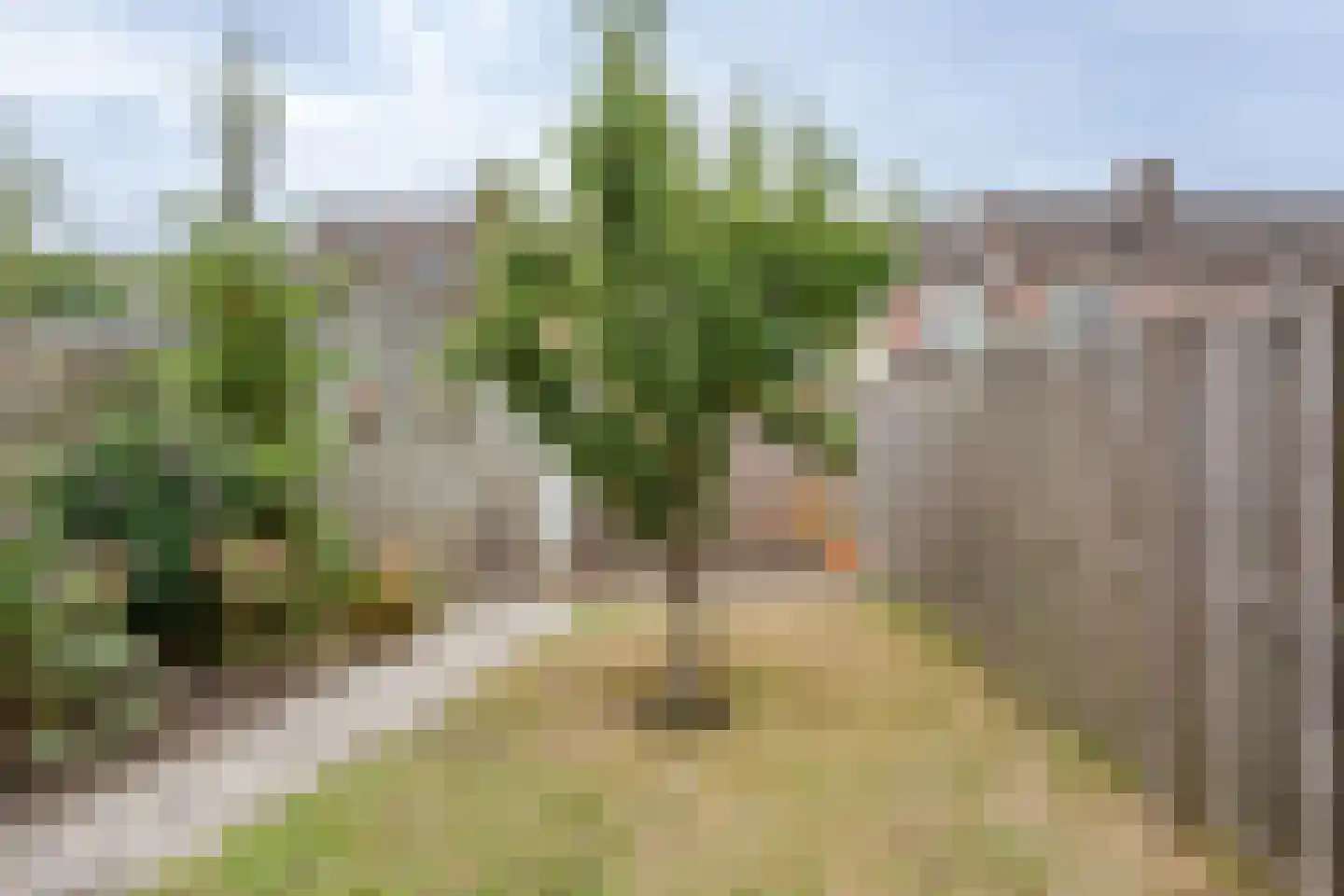 Abdij 7 Blokker thumbnail 40