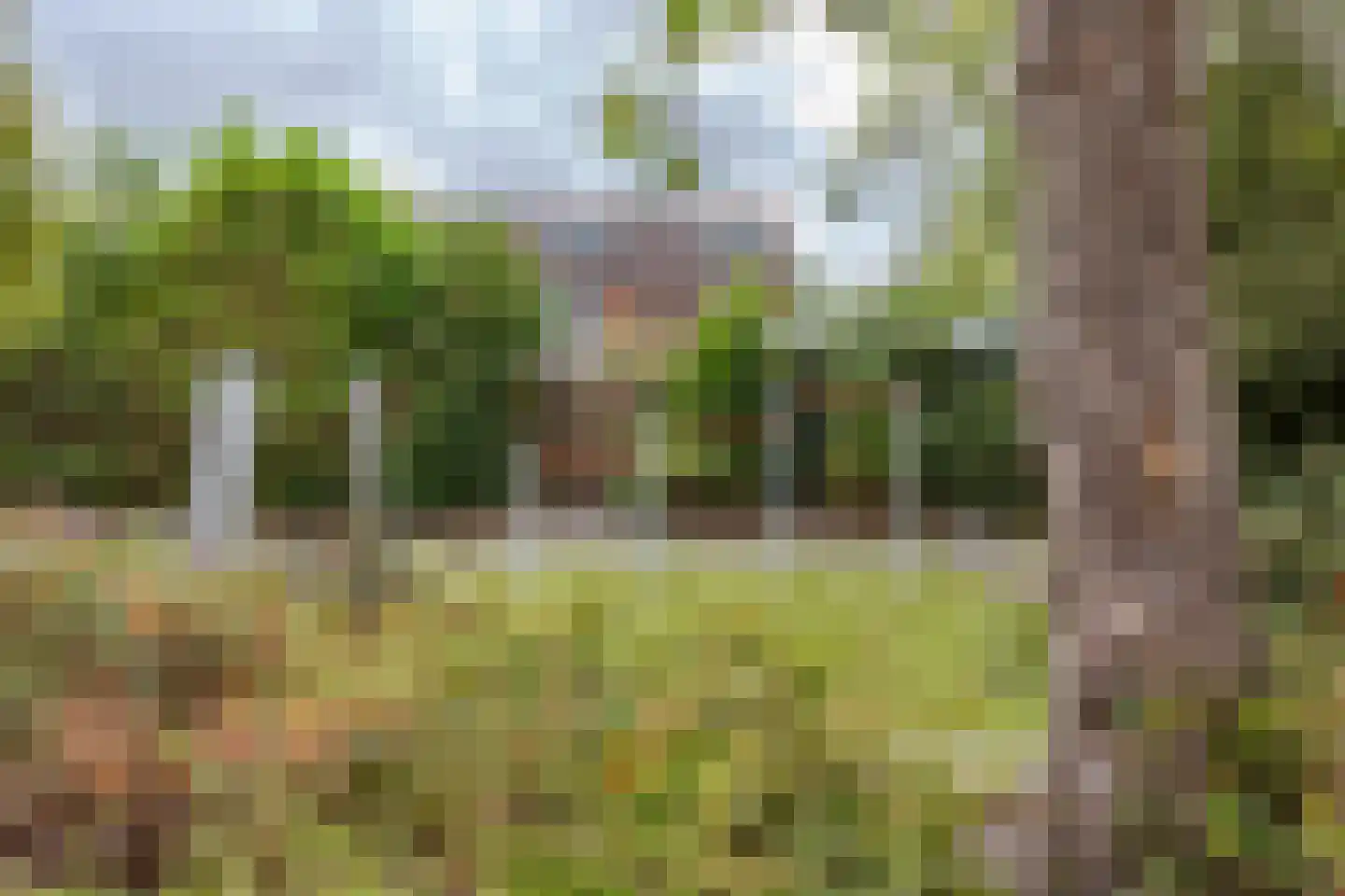 Abdij 7 Blokker thumbnail 43
