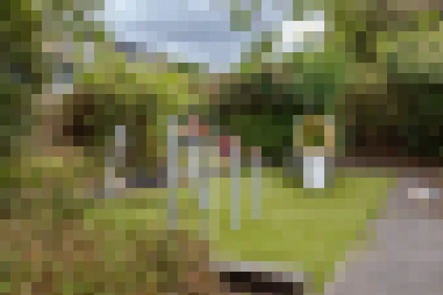 Abdij 7 Blokker thumbnail 44