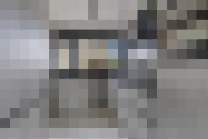 Abdij 79 Zwijndrecht thumbnail 11