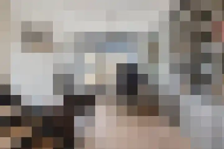 Abdij 79 Zwijndrecht thumbnail 13