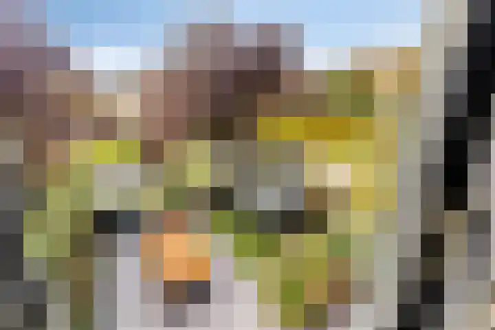 Abdij 79 Zwijndrecht thumbnail 20