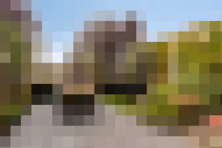 Abdij 79 Zwijndrecht thumbnail 28