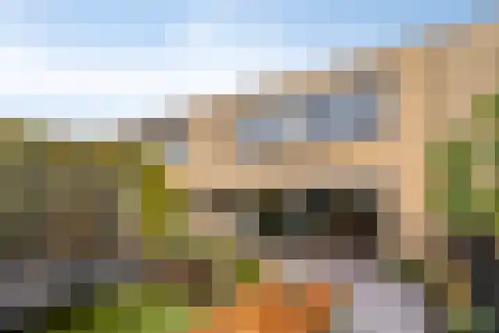 Abdij 79 Zwijndrecht thumbnail 30