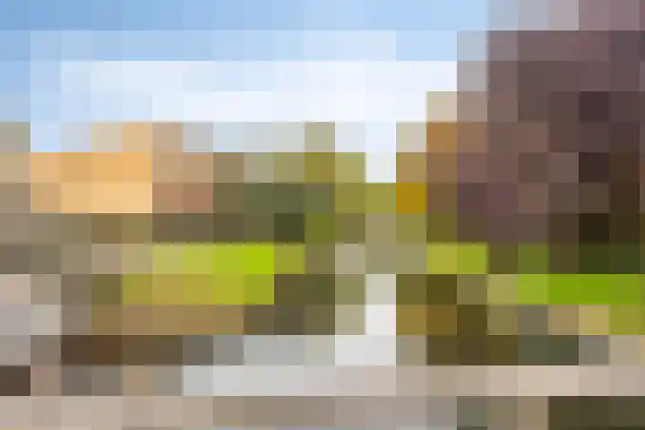 Abdij 79 Zwijndrecht thumbnail 32