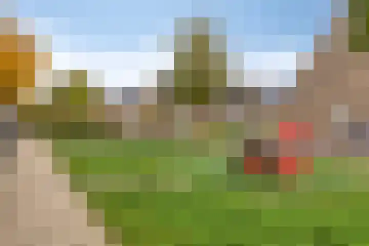 Abdij 79 Zwijndrecht thumbnail 33