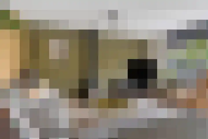 Abdij 79 Zwijndrecht thumbnail 6