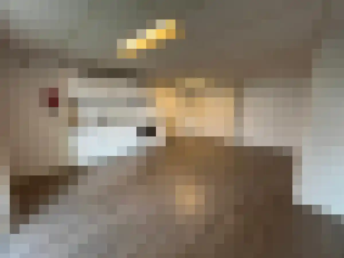 Abdij van Averbodestraat 12 04 Tilburg thumbnail 4