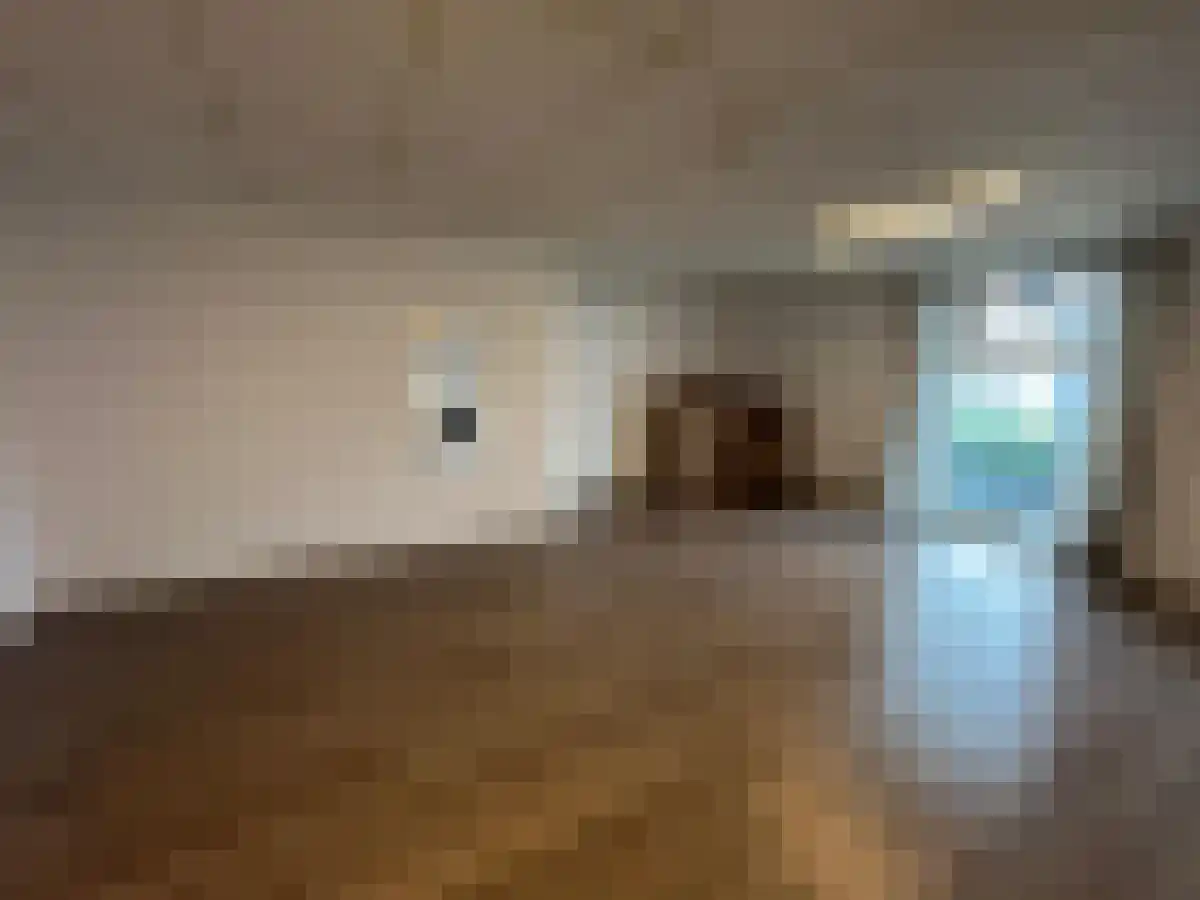 Abdij van Averbodestraat 12 04 Tilburg thumbnail 5