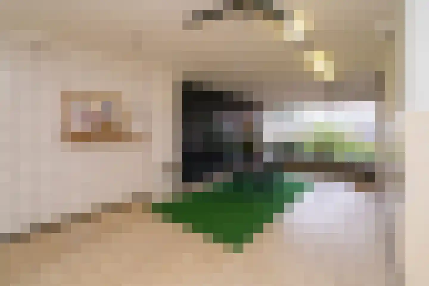 Abdij van Averbodestraat 20 Tilburg thumbnail 11